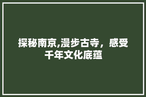 探秘南京,漫步古寺，感受千年文化底蕴  第1张