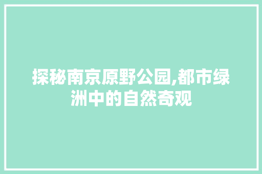 探秘南京原野公园,都市绿洲中的自然奇观  第1张