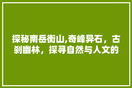 探秘南岳衡山,奇峰异石，古刹幽林，探寻自然与人文的完美融合