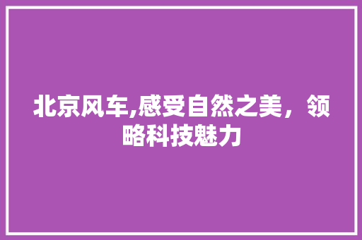 北京风车,感受自然之美，领略科技魅力