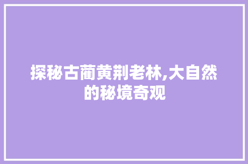 探秘古蔺黄荆老林,大自然的秘境奇观