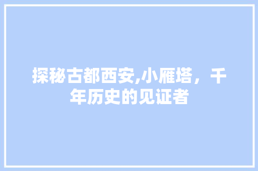 探秘古都西安,小雁塔，千年历史的见证者  第1张