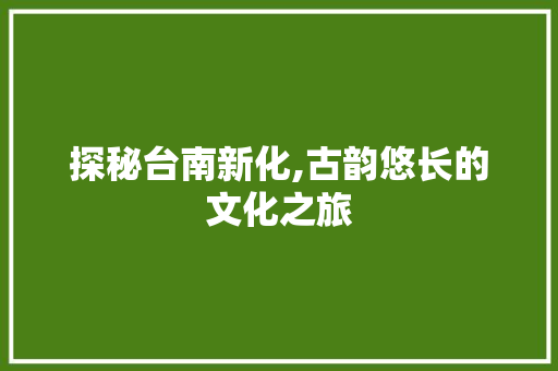 探秘台南新化,古韵悠长的文化之旅