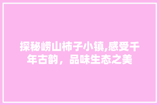 探秘崂山柿子小镇,感受千年古韵，品味生态之美  第1张
