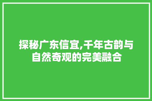 探秘广东信宜,千年古韵与自然奇观的完美融合