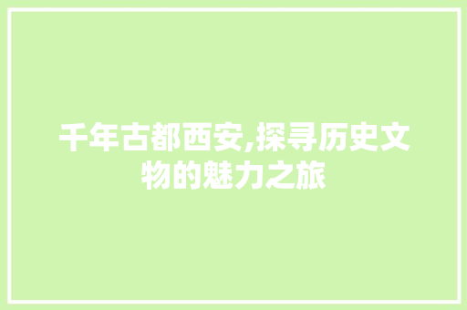 千年古都西安,探寻历史文物的魅力之旅  第1张