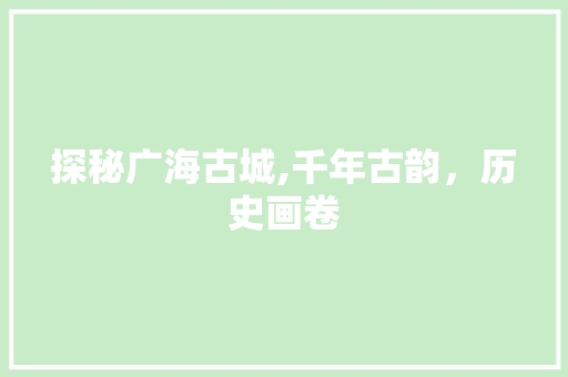 探秘广海古城,千年古韵，历史画卷