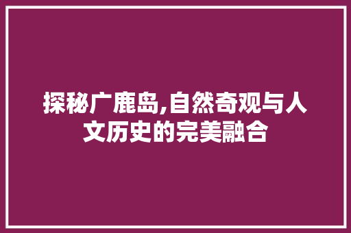 探秘广鹿岛,自然奇观与人文历史的完美融合