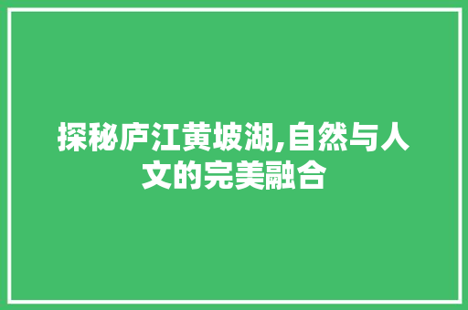 探秘庐江黄坡湖,自然与人文的完美融合