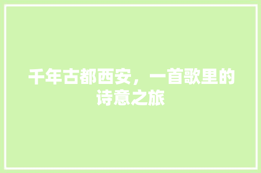 千年古都西安，一首歌里的诗意之旅  第1张