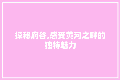 探秘府谷,感受黄河之畔的独特魅力