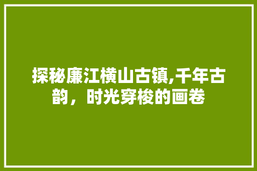 探秘廉江横山古镇,千年古韵，时光穿梭的画卷  第1张