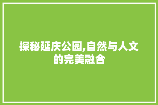 探秘延庆公园,自然与人文的完美融合