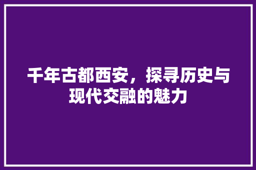 千年古都西安，探寻历史与现代交融的魅力  第1张