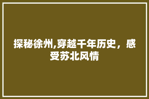 探秘徐州,穿越千年历史，感受苏北风情  第1张