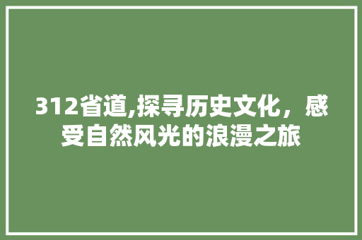 312省道,探寻历史文化，感受自然风光的浪漫之旅  第1张