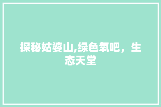 探秘姑婆山,绿色氧吧，生态天堂  第1张