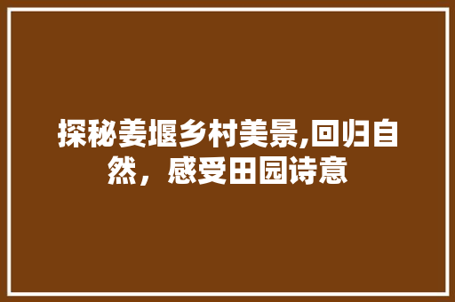 探秘姜堰乡村美景,回归自然，感受田园诗意  第1张