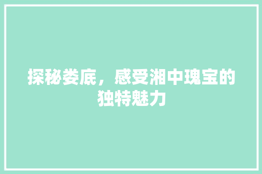 探秘娄底，感受湘中瑰宝的独特魅力  第1张