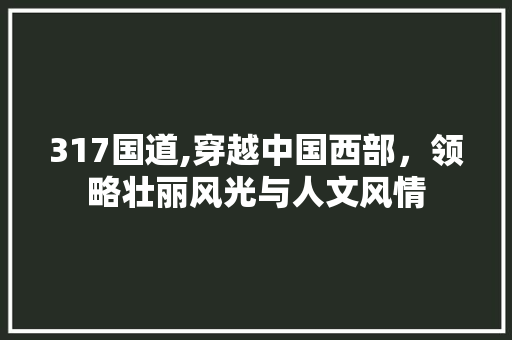 317国道,穿越中国西部，领略壮丽风光与人文风情  第1张