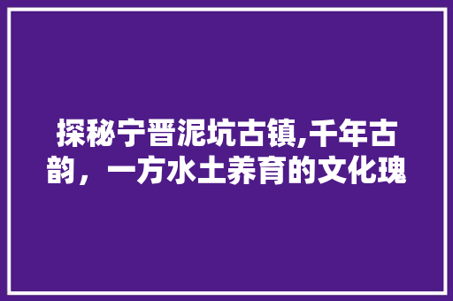 探秘宁晋泥坑古镇,千年古韵，一方水土养育的文化瑰宝