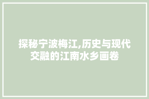 探秘宁波梅江,历史与现代交融的江南水乡画卷  第1张