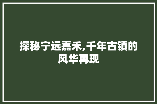 探秘宁远嘉禾,千年古镇的风华再现
