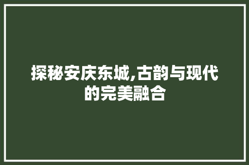 探秘安庆东城,古韵与现代的完美融合  第1张