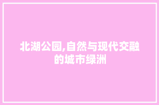 北湖公园,自然与现代交融的城市绿洲  第1张