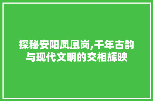 探秘安阳凤凰岗,千年古韵与现代文明的交相辉映
