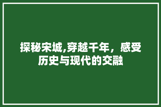探秘宋城,穿越千年，感受历史与现代的交融