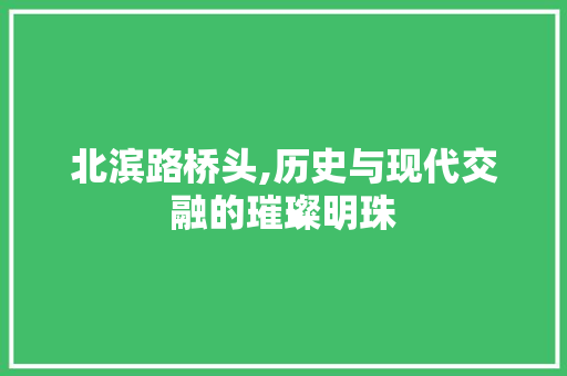 北滨路桥头,历史与现代交融的璀璨明珠