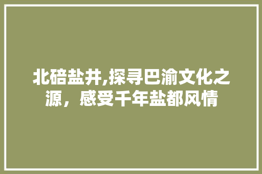 北碚盐井,探寻巴渝文化之源，感受千年盐都风情
