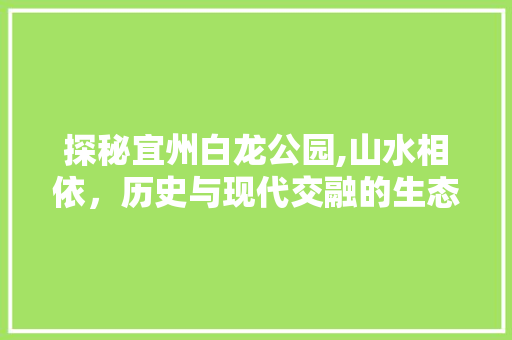 探秘宜州白龙公园,山水相依，历史与现代交融的生态胜地  第1张