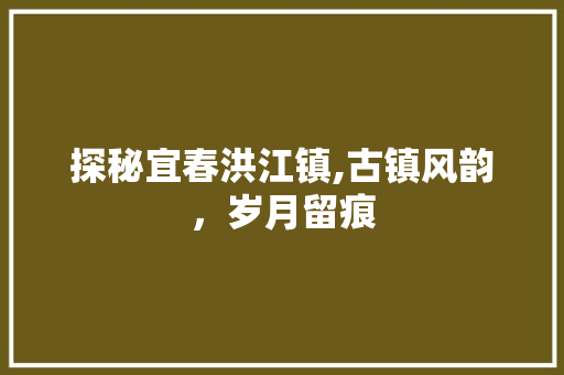 探秘宜春洪江镇,古镇风韵，岁月留痕