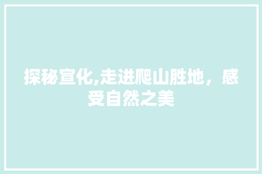 探秘宣化,走进爬山胜地，感受自然之美
