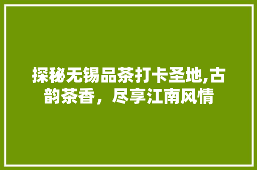 探秘无锡品茶打卡圣地,古韵茶香，尽享江南风情  第1张