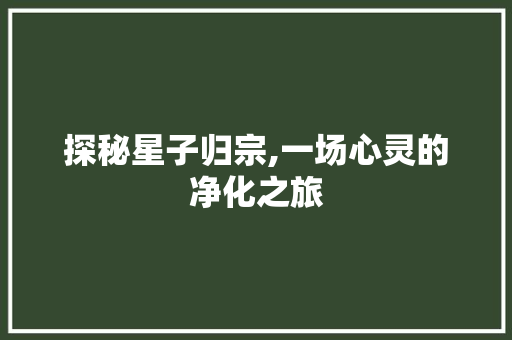 探秘星子归宗,一场心灵的净化之旅  第1张