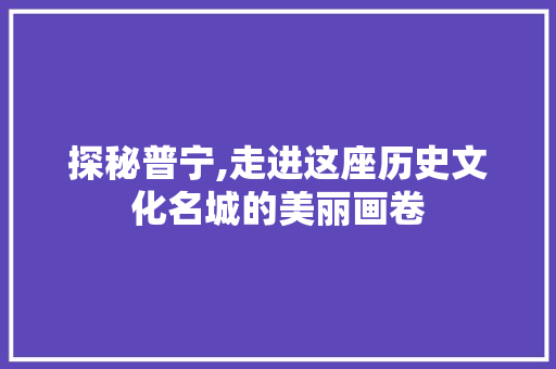 探秘普宁,走进这座历史文化名城的美丽画卷  第1张