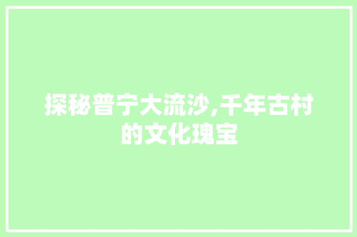 探秘普宁大流沙,千年古村的文化瑰宝  第1张