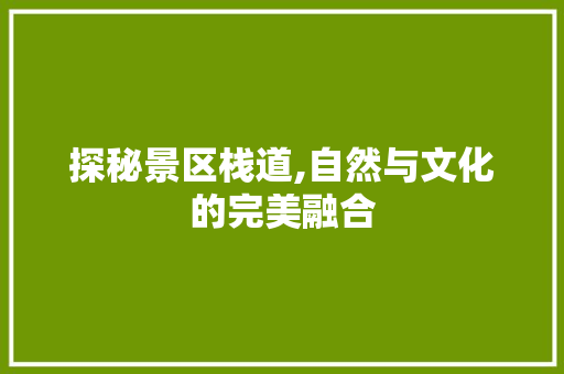 探秘景区栈道,自然与文化的完美融合  第1张