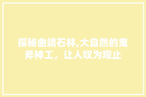 探秘曲靖石林,大自然的鬼斧神工，让人叹为观止  第1张