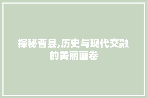 探秘曹县,历史与现代交融的美丽画卷  第1张
