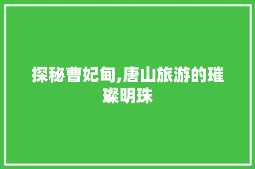 探秘曹妃甸,唐山旅游的璀璨明珠  第1张