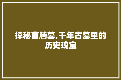 探秘曹腾墓,千年古墓里的历史瑰宝  第1张