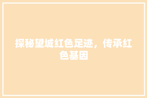 探秘望城红色足迹，传承红色基因  第1张
