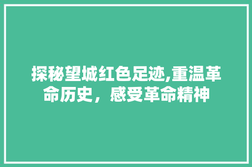 探秘望城红色足迹,重温革命历史，感受革命精神  第1张