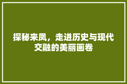 探秘来凤，走进历史与现代交融的美丽画卷  第1张
