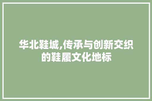 华北鞋城,传承与创新交织的鞋履文化地标  第1张