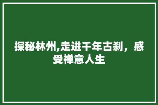 探秘林州,走进千年古刹，感受禅意人生  第1张